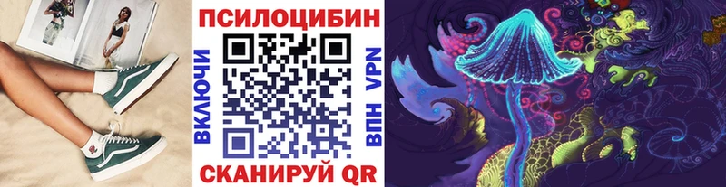 Купить  Суджа  Псилоцибиновые грибы Cubensis 