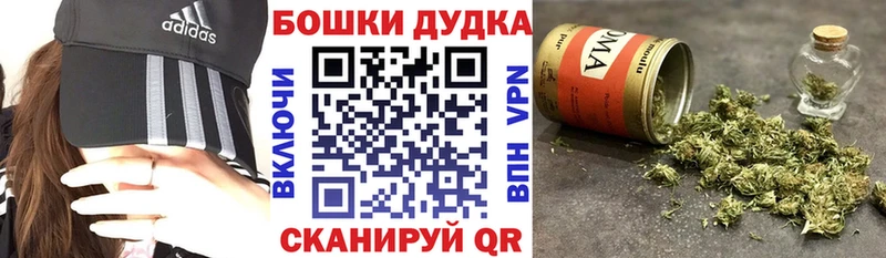 Шишки марихуана сатива Суджа